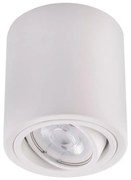 LED Spotlight TUBA 1xGU10/5W/230V 2700K biały