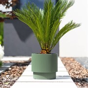 Donica ogrodowa z wkładem Milly 30 x 30 x 28,5 cm zielona pinia PROSPERPLAST