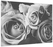 Obraz - Róża, czarno - biały (70x50 cm)