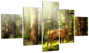 Obraz jelenia w lesie (125x70 cm)