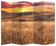 Parawan - Pole (210x170 cm)