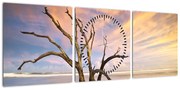Obraz drzewa w oceanie (z zegarem) (90x30 cm)