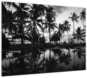 Obraz tropikalnej wyspy (70x50 cm)