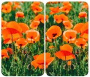 WENKO 2521434500-Płyta osłonowa ABDECKPLATTE - KWIAT/ROŚLINA 30x52 cm wielobarwna