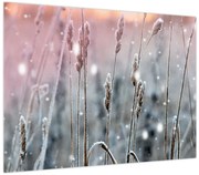 Obraz - Chwila (70x50 cm)