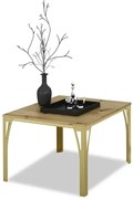 Skandynawski stolik kawowy złoty + dąb artisan N4-F51