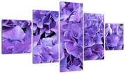 Obraz fioletowych kwiatów (125x70 cm)