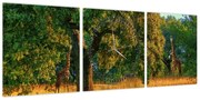 Obraz żyraf w naturze (z zegarem) (90x30 cm)