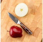 Gudaro - Damasceński nóż kuchenny FENG 3,5", 67 warstw stali, długość 9,5 cm