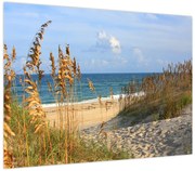 Obraz - Plaża (70x50 cm)