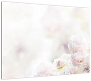 Obraz delikatnych kwiatów (70x50 cm)