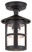 Elstead BL21A-BLACK - zewnętrzny Żyrandol natynkowy HEREFORD 1xE27/100W/230V IP43