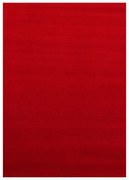 Dywan pluszowy Sky czerwony antypoślizgowy do prania 60 cm x 110 cm