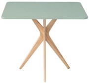 Stół CUTTI 55x80 szałwiowy/jesion RAGABA