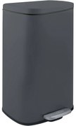 Spirella Kosz na śmieci z pedałem soft-close Akira 30 l, matowy szary, 30 l
