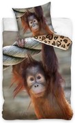 Bawełniana pościel Orangutan, 140 x 200 cm, 70 x90 cm