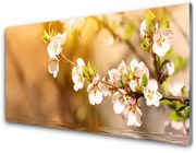 Panel Szklany Kwiaty Roślina Przyroda