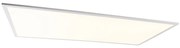 Stalowy Plafon / Lampy sufitowe 120 cm z wbudowanym LED z pilotem - Liv Nowoczesny Oswietlenie wewnetrzne