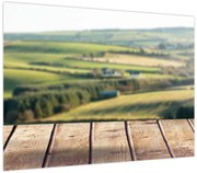 Obraz - Widok na krajobraz (70x50 cm)