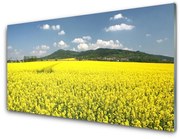 Panel Szklany Pole Łąka Natura Rzepak