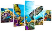 Obraz rafy koralowej (125x70 cm)