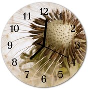 Zegar ścienny okrągły Mniszek lekarski