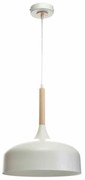 Lampa wisząca, pojedyncza, biała TAYLOR WHITE 1xE27 60W
