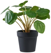 Sztuczna roślina (wysokość 28 cm) Pelia – House Nordic