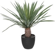 Sztuczna palma jak żywa w czarnej donicy, wys. 52 cm