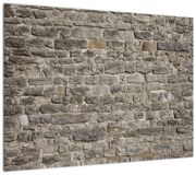 Obraz ściany z cegły (70x50 cm)