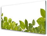 Panel Szklany Liście Natura Roślina