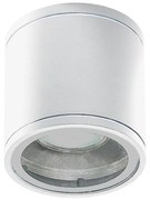 Azzardo AZ3315 - Oświetlenie zewnętrzne punktowe JOE 1xGU10/35W/230V IP54