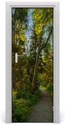 Naklejka fototapeta na drzwi Ścieżka w lesie