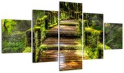 Obraz schodów w deszczowym pralesie (125x70 cm)
