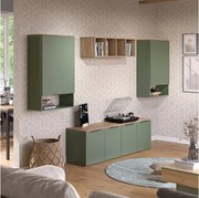 Ściana w salonie zielony 80x40x50 wido