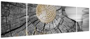 Obraz - Pień drzewa w kolażu (170x50 cm)