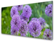 Panel Szklany Fioletowe Kwiaty Łąka