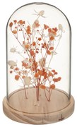 Suszone kwiaty pod szklaną kopułą FLOWER BELL, wysokość 17 cm Kolor: Pomarańczowy