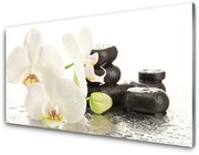 Obraz Akrylowy Kwiat Kamienie Roślina