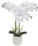 Sztuczny storczyk w doniczce RIVA, 60 cm