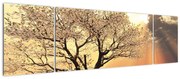 Obraz drzewa na łące (170x50 cm)