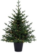 Choinka sztuczna w donicy 100% PE Świerk Naturalny 100cm LED70