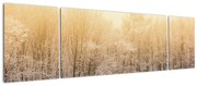 Obraz mroźnego lasu (170x50 cm)