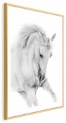 Plakat Biały koń 60x90 cm z ramą złotą z marginesem ARTGEIST B