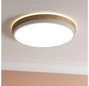 Brilliant - LED Plafon ściemnialny BAARLO LED/24W/230V śr. 35 cm biały