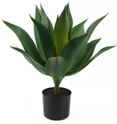 Sztuczny sukulent (wysokość 56 cm) – PT LIVING