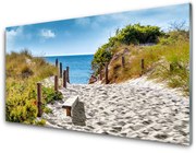 Obraz Akrylowy Ścieżka Krajobraz