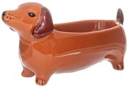 Porcelanowa miska dekoracyjna 5x14 cm Sausage Dog – Sass & Belle