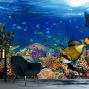 Fototapeta - Ocean (196x136 cm)