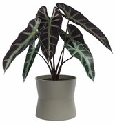 Ceramiczna doniczka ø 20 cm Diana – Artevasi